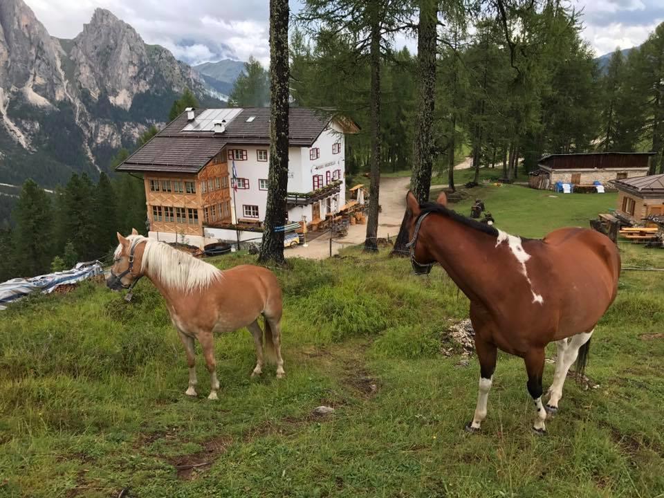 Отель Rifugio Negritella Поцца-ди-Фасса Экстерьер фото